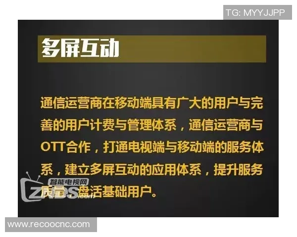 从零起步探索极限运动团队协作的全面指南与实战技巧分享