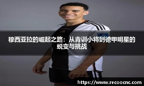 mk体育官方网站